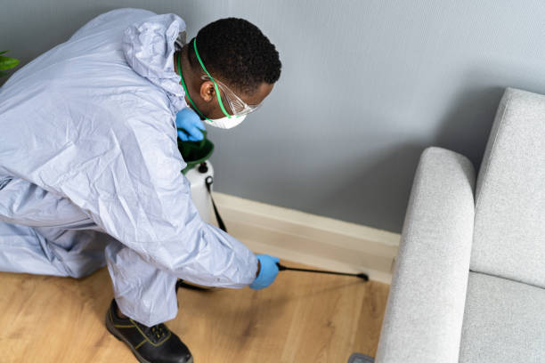 Best Residential Pest Control  in Sterlington, LA